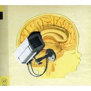 The Hidden Cameras - Origin: Orphan  CD